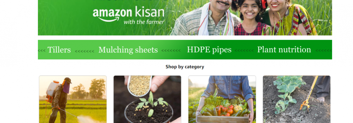 Amazon e-commerce Inde